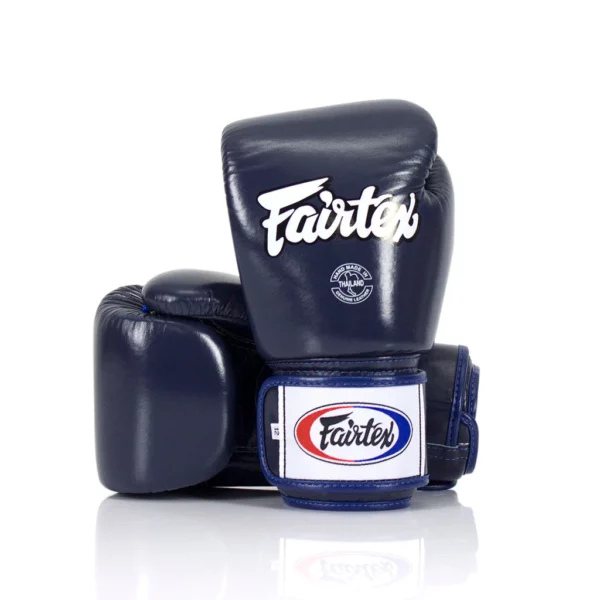 Gants de boxe Fairtex bgv1 bleu