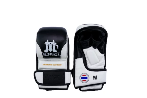 Gants mma Muaythai Mongkol la meilleur paire de gants de sparring mma