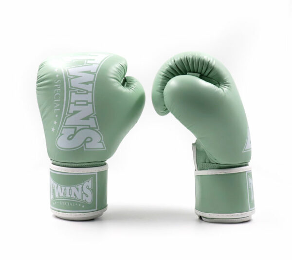 Les Gants de Boxe Twins Pastel vert BGVL4 P allient performance et élégance. Fabriqués en cuir de haute qualité, ils offrent une protection optimale et un confort supérieur. Parfaits pour vos séances d'entraînement et compétitions, leur design ergonomique et leurs couleurs pastel ajoutent une touche de style à votre équipemen